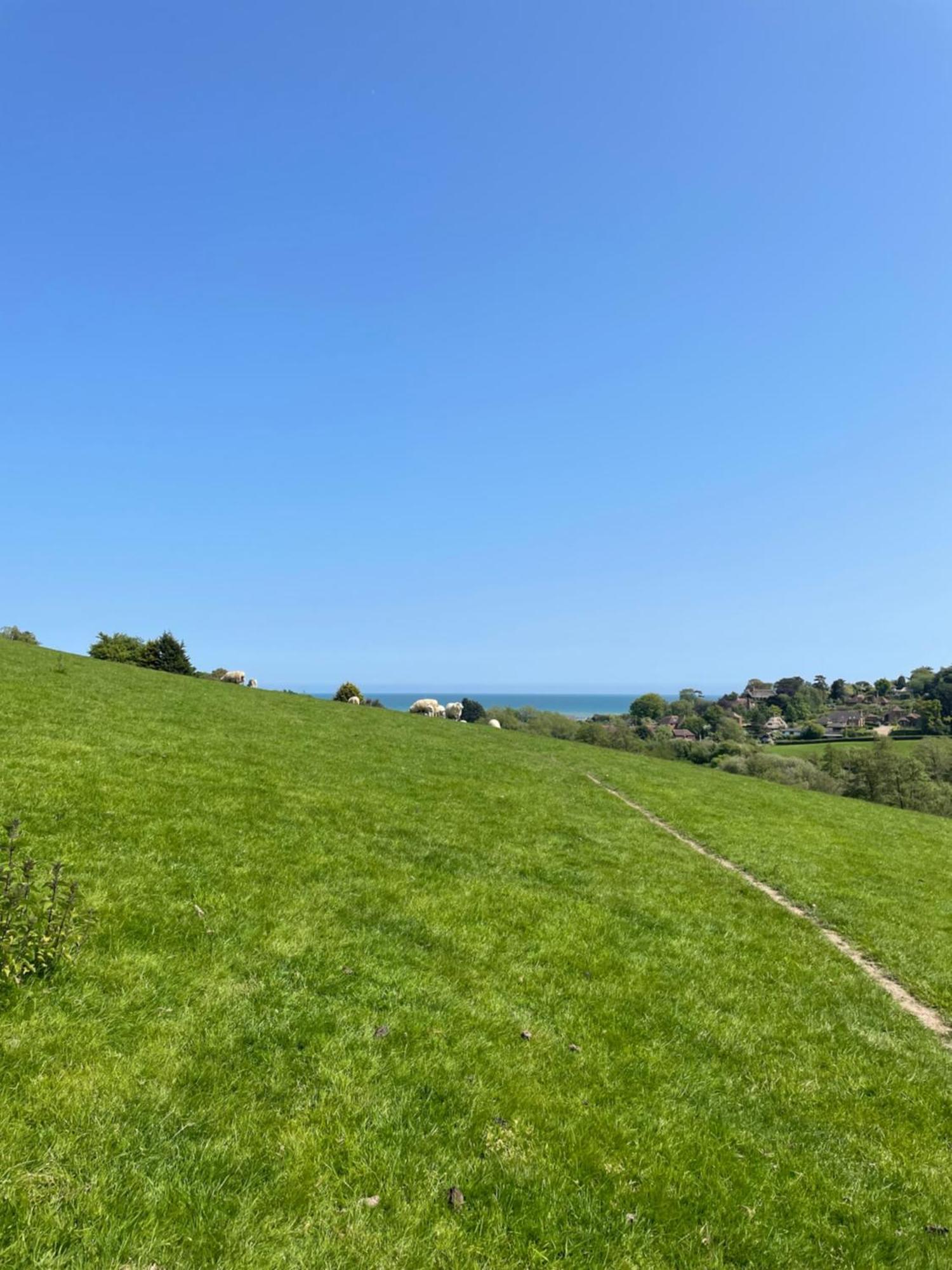 Fairlight Cove Lejlighedshotel Eksteriør billede